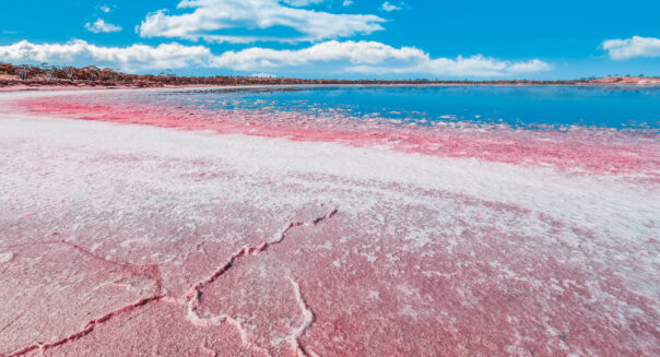Murray Sunset National Park pink lake