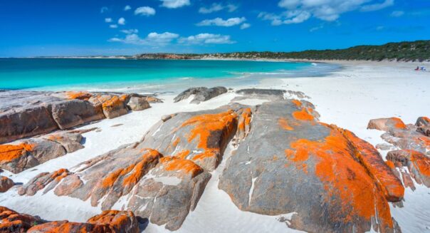 Yorke Peninsula South Australia Dolphin Bay