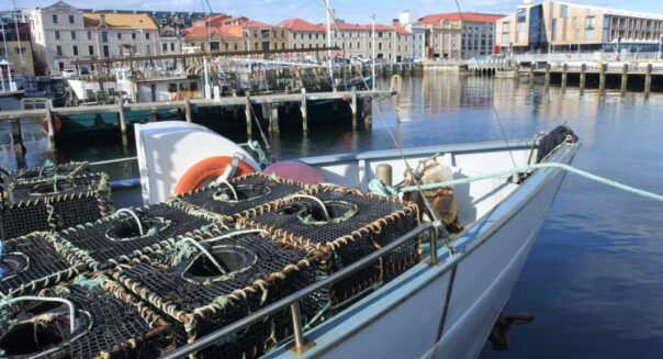 Vissersboten liggen in de haven van Hobart op Tasmania